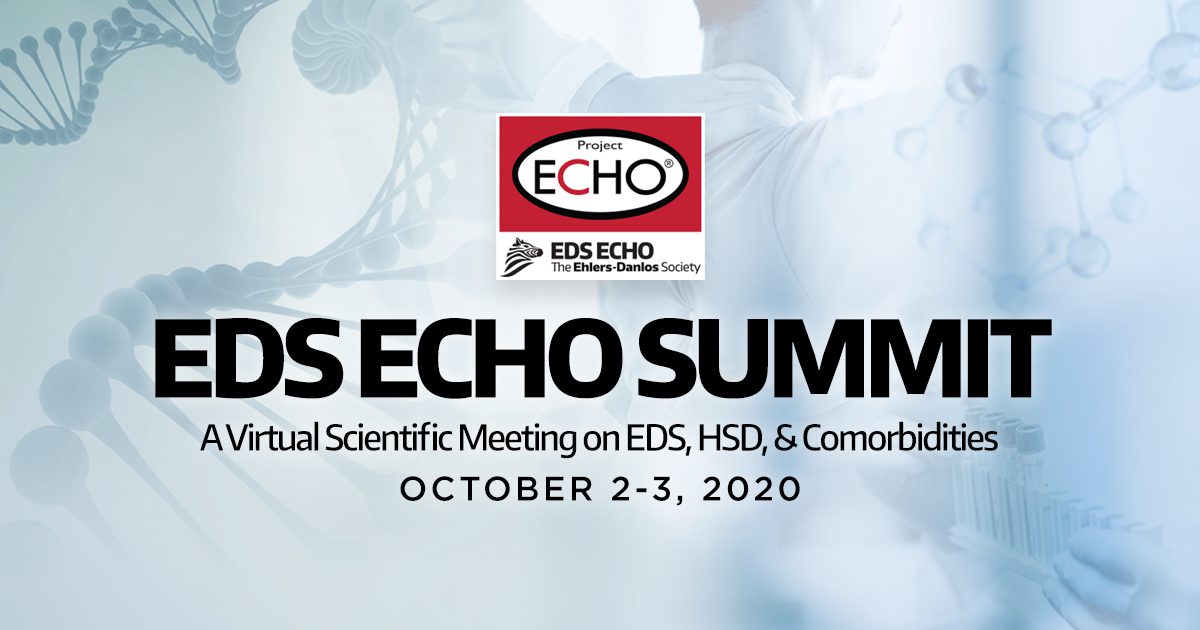 banner_echo_summit (2) EDS ECHO Summit 2020