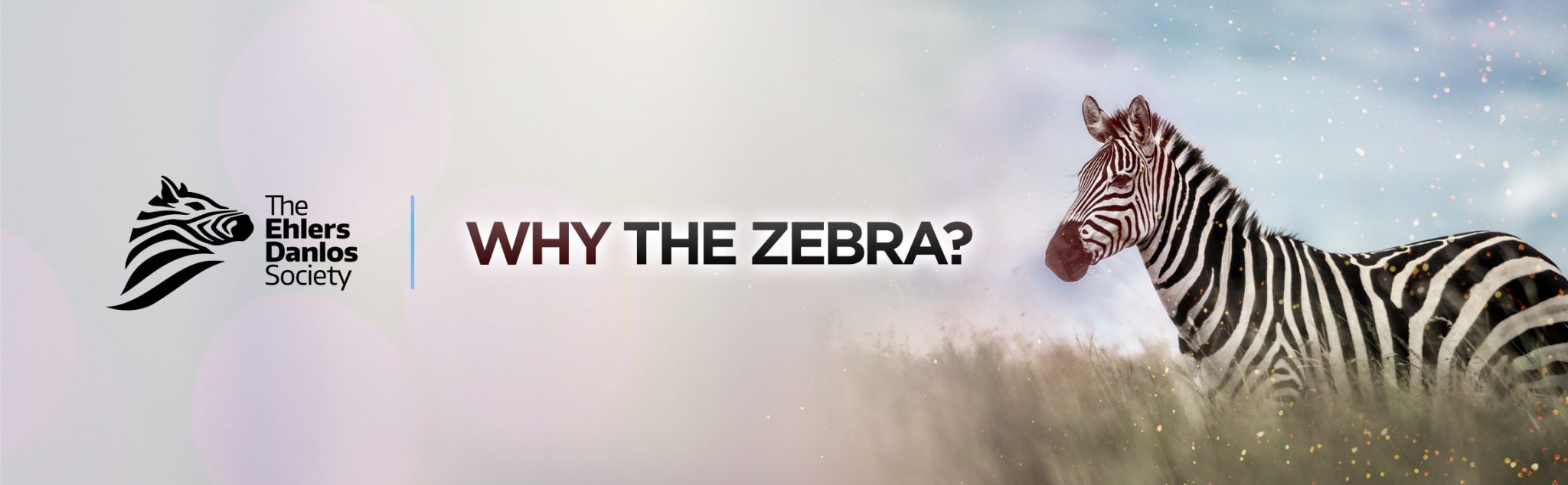 Why the Zebra? The Ehlers Danlos Society