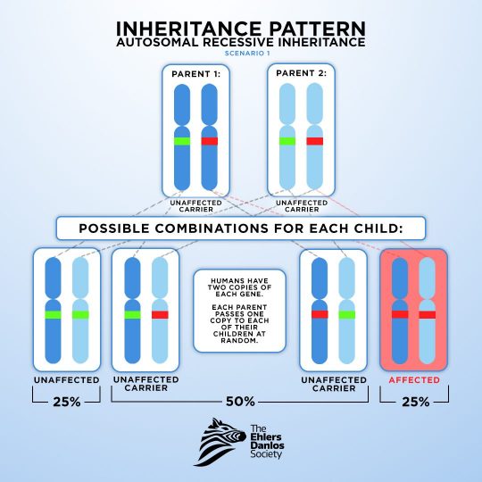 ig_post_genetic_inheritence_Autosomal_recessive_inheritance _scenario_1_WEB ig_post_genetic_inheritence_Autosomal_recessive_inheritance _scenario_1_WEB