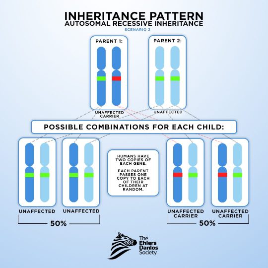 ig_post_genetic_inheritence_Autosomal_recessive_inheritance _scenario_2_WEB ig_post_genetic_inheritence_Autosomal_recessive_inheritance _scenario_2_WEB