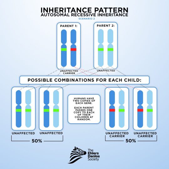 autosomal recessive inheritance