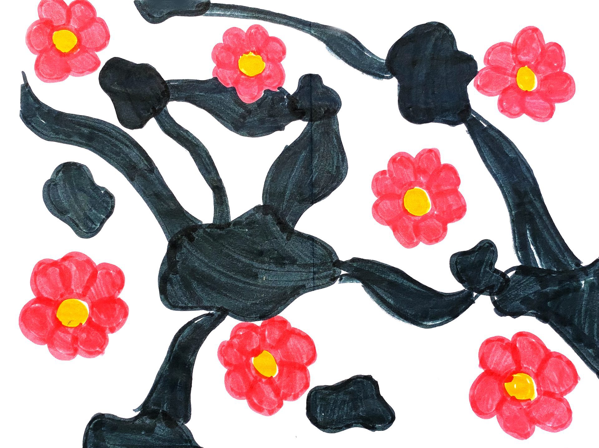 Junior Zebras Greetings Card Contest The Ehlers Danlos Society