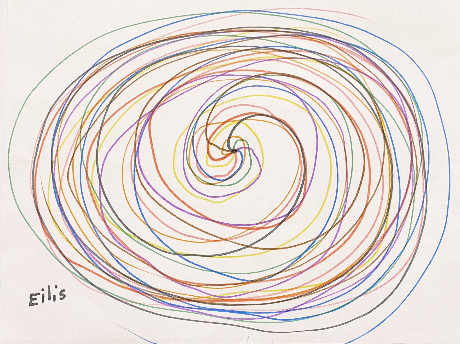 Junior Zebras Greetings Card Contest The Ehlers Danlos Society