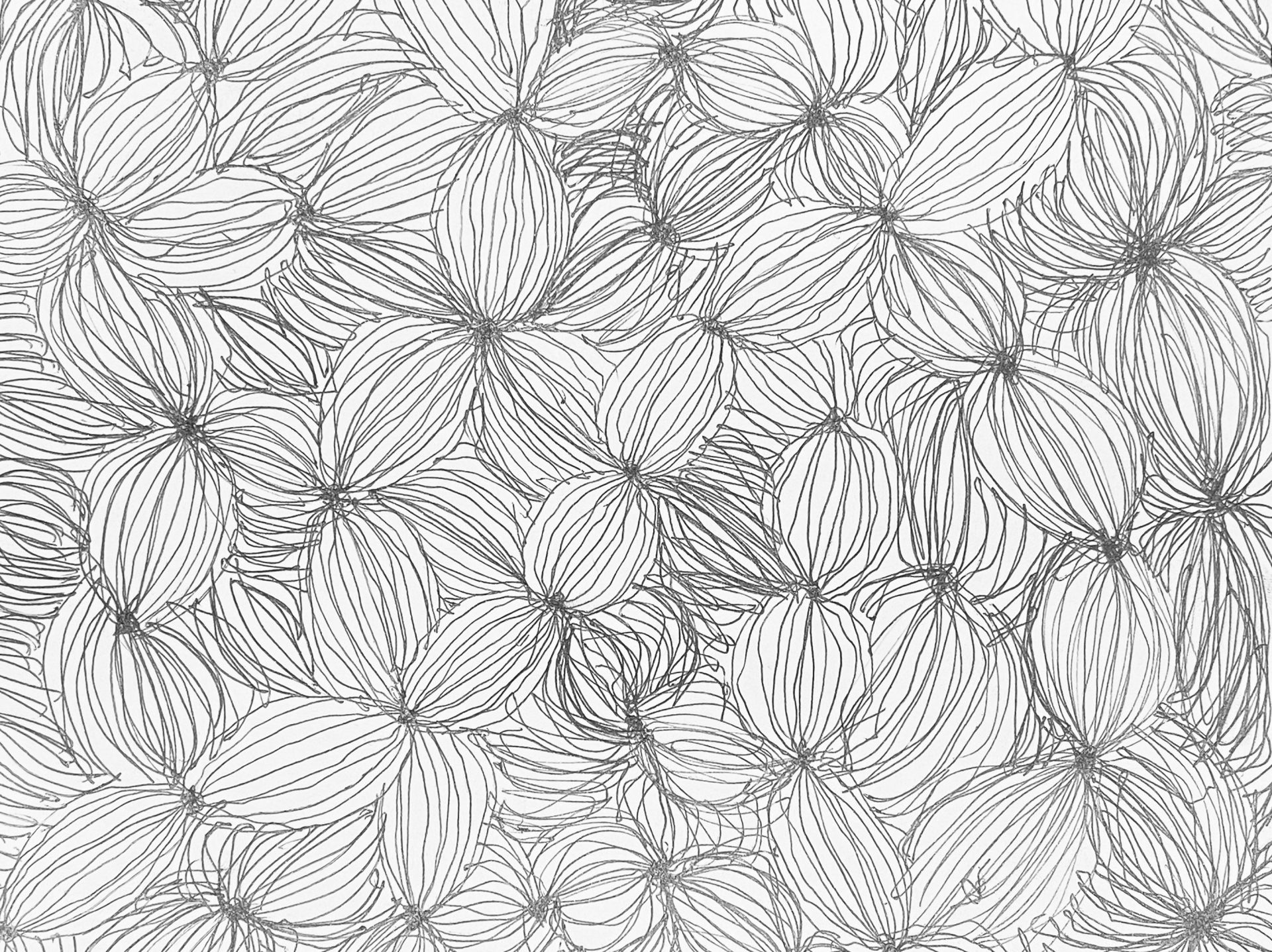 Junior Zebras Greetings Card Contest The Ehlers Danlos Society