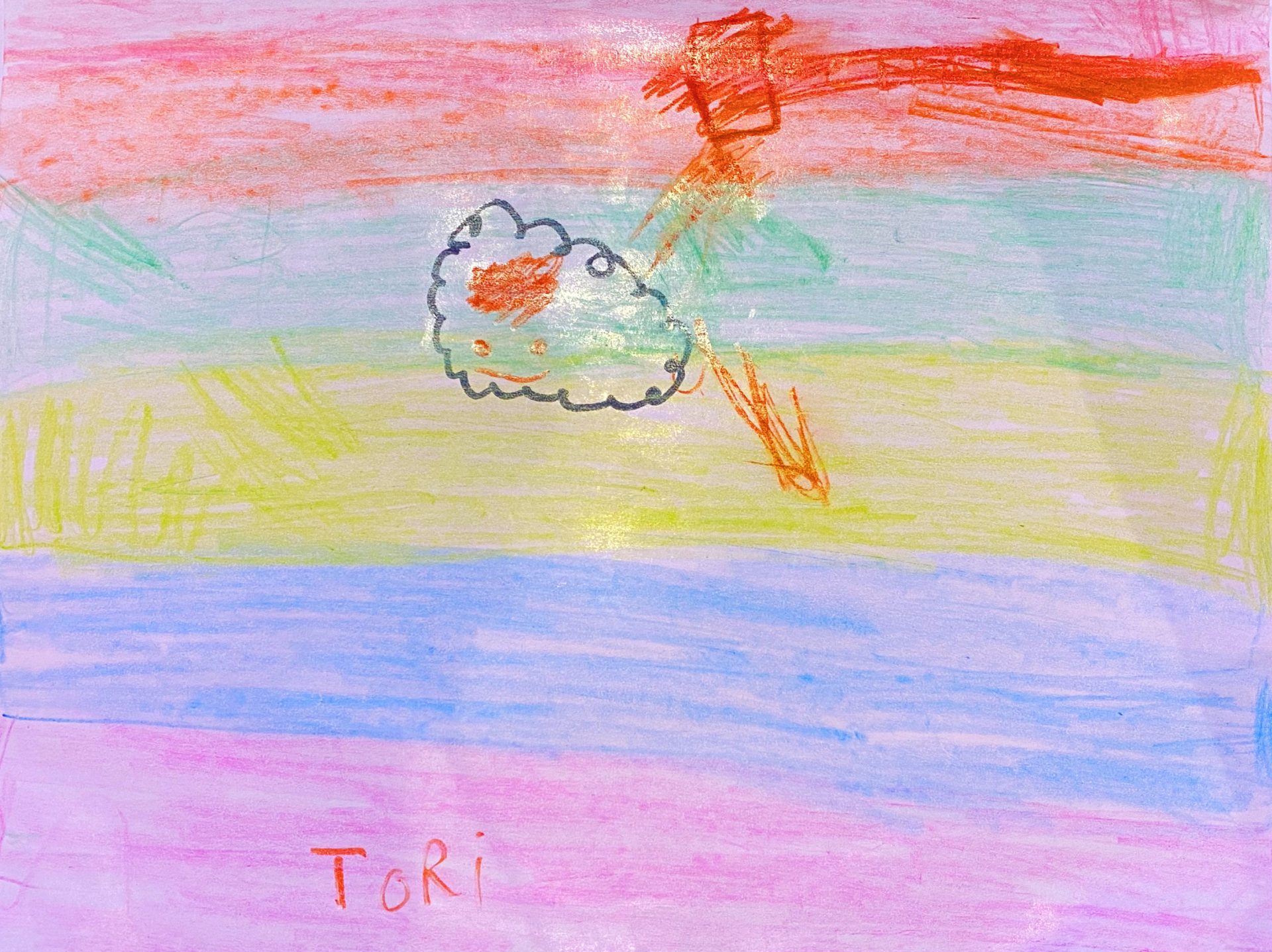 Junior Zebras Greetings Card Contest The Ehlers Danlos Society