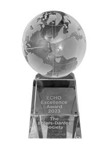 echo excellence award