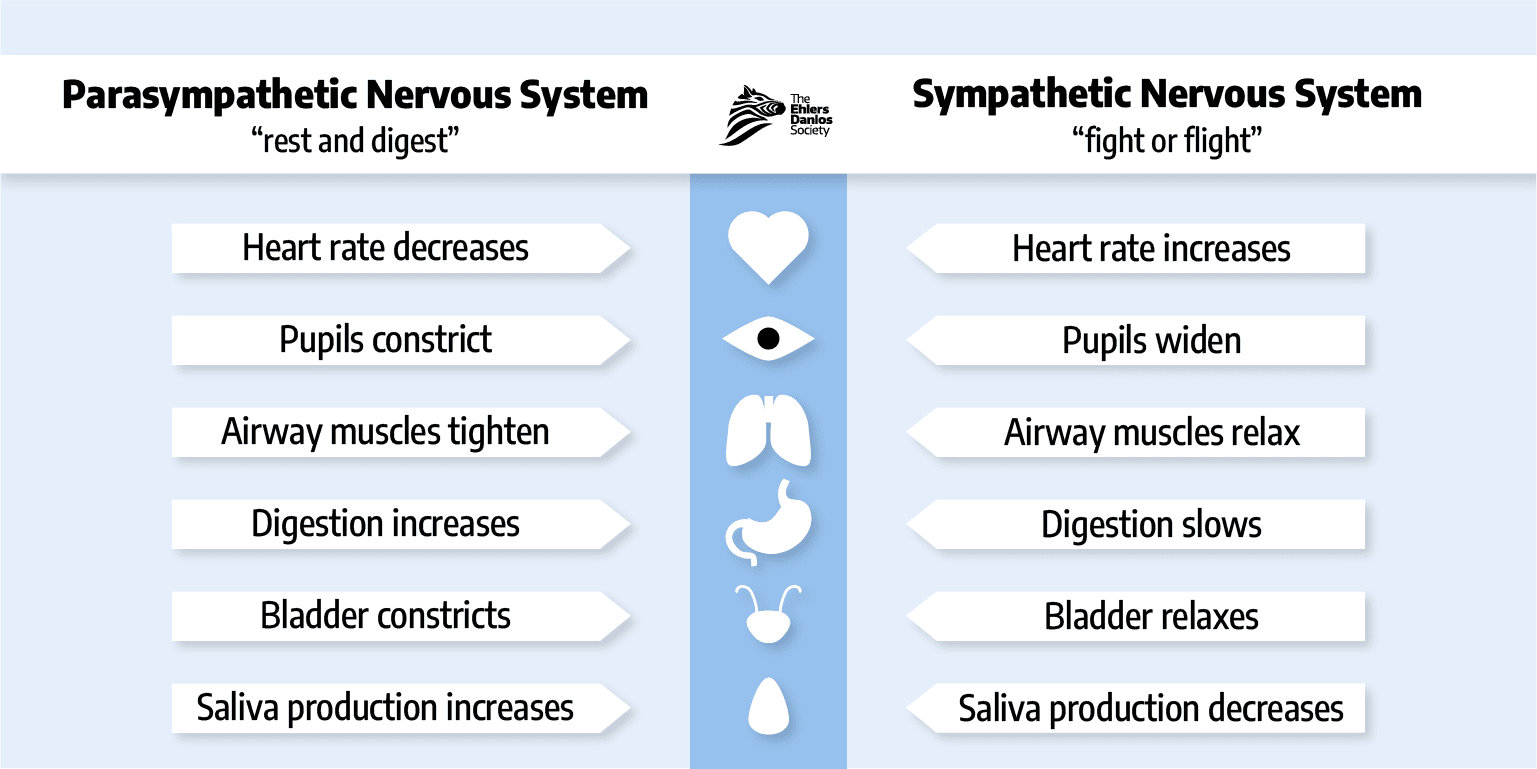 ps nervous system
