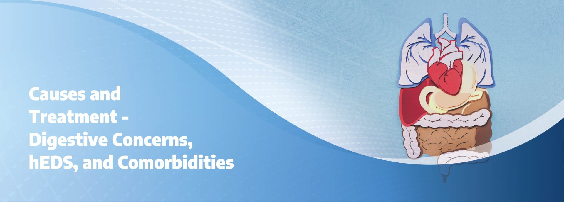 Web_Banner_Research _Qasim_Aziz_study